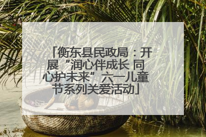 衡东县民政局：开展“润心伴成长 同心护未来”六一儿童节系列关爱活动